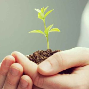نمونه سوالات استخدامی گیاه پزشکی