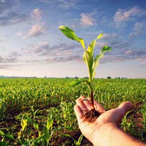نمونه سوالات استخدامی کارشناس اصلاح نباتات و زراعت